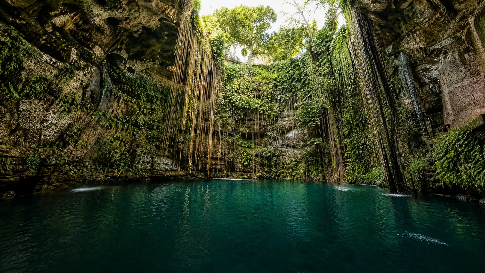 Schwimmen Sie in einem 60 Meter breiten, nach oben offenen Cenote nahe Chichén Itzá. Vergleichen Sie Tickets, Tagesausflüge und praktische Tipps für Ihren Besuch 2026.